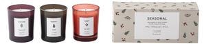 Illume x Bloomingville SEASONAL scented candle 3-pack 75 g