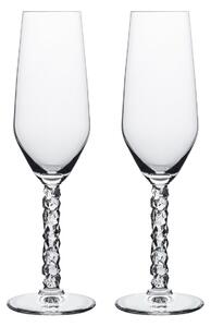 Orrefors Carat champagne glass 24 cl 2-pack Clear