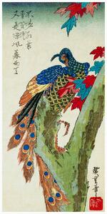 Fine Art Print Peacock Perched on a Maple Tree (Japan) - Utagawa Hiroshige, (20 x 40 cm)