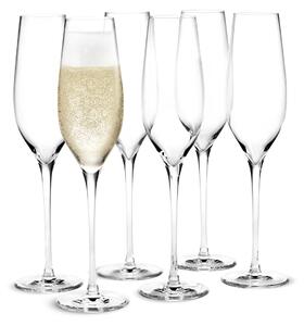 Holmegaard Cabernet champagne glass 29 cl 6 pack Clear