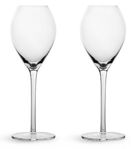 Sagaform Saga champagne glass 2-pack Clear