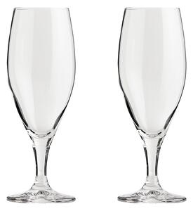 Aida Passion connoisseur beer glass 40 cl 2-pack Clear