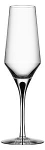 Orrefors Metropol champagne glass 27 cl Clear / Black