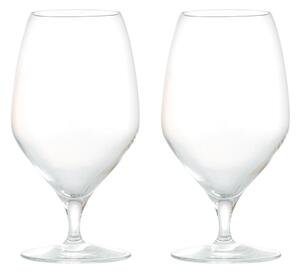 Rosendahl Premium beer glass 60 cl 2 pack Clear
