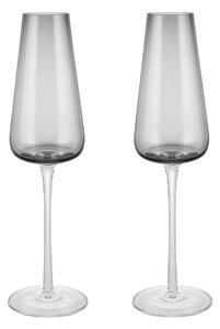 Blomus Belo champagne glass 20 cl 2 pack Smoke