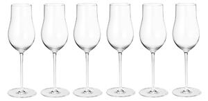 Georg Jensen Sky champagne glass 25 cl 6-pack Clear