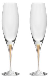 Orrefors Intermezzo champagne glass 26 cl 2-pack Gold