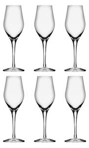 Orrefors Sense champagne glass 25.5 cl 6-pack Clear