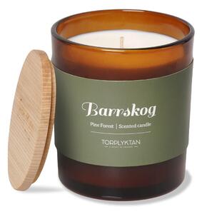 Torplyktan Northern woods scented candle 310 g Berry forest