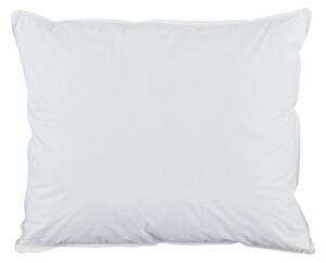 Mille Notti Sonno down pillow high White, 50x60 cm