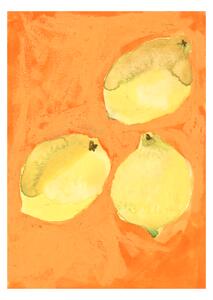 Paper Collective Lemons poster 70x100 cm