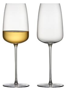 Lyngby Glas Zero white wine glass 48 cl 2-pack Clear