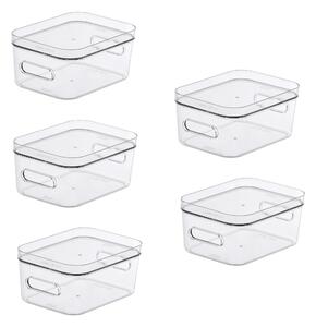 Compact Storage Tub Small with lids 1.5L Set of 5, Clear Clear