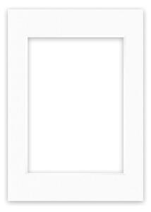 Nielsen Conservation White Picture Mount White