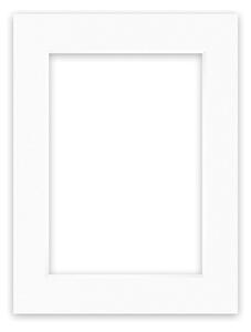 Nielsen Conservation White Picture Mount White