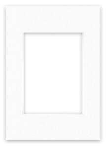 Nielsen Conservation White Picture Mount White