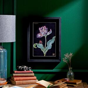 Tulip Framed Print Black