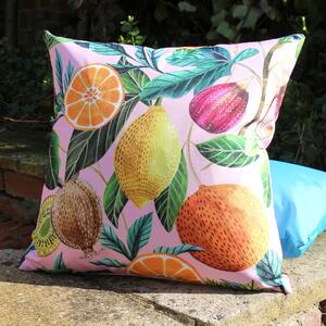 Citrus Twin Pack 43cm x 43cm Outdoor Filled Cushion Multi