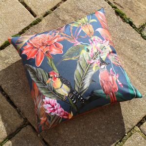 Exotics Outdoor Twin Pack 43cm x 43cm Filled Cushion Multi