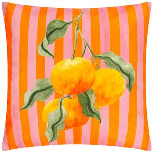 Oranges Striped 43cm x 43cm Outdoor Filled Cushion Orange