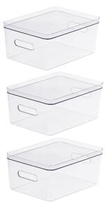 Compact Storage Tub Large with lids 15.4L Set of 3, Clear