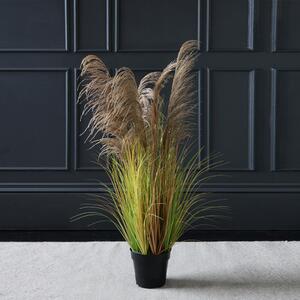 Potted Pampas 130cm Light Brown