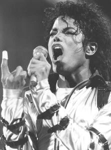 Photography MICHAEL JACKSON The King of Pop', 