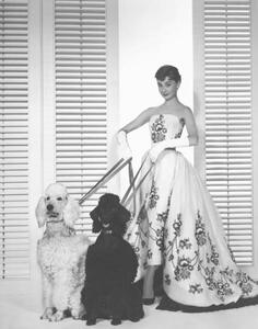 Photography Audrey Hepburn