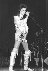 Art Photography David Bowie on Stage (Ziggy Stardust Tour) 1973, (26.7 x 40 cm)