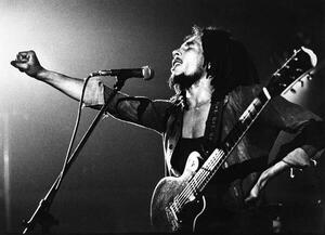 Art Photography Bob Marley, (40 x 30 cm)