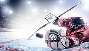 Art Photography Ice Hockey Goalie, Dmytro Aksonov, (40 x 22.5 cm)