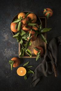 Art Photography Oranges, Diana Popescu, (26.7 x 40 cm)