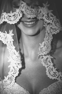 Art Photography Smiling bride under the elegant translucent veil, Victor Dyomin, (26.7 x 40 cm)