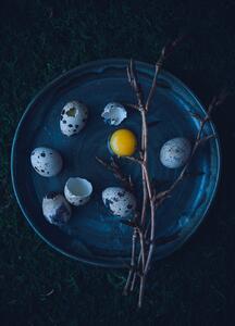 Art Photography Eggs, Aleksandrova Karina, (30 x 40 cm)