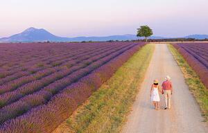 Art Photography Couple walking on roadway between lavender fields, Shaun Egan, (40 x 24.6 cm)