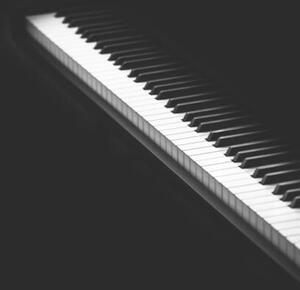 Art Photography piano keys isolated on white, Natalya Sergeeva, (26.7 x 40 cm)