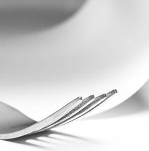 Art Photography A fork in an abstract composition, Frank Grittke, (30 x 40 cm)