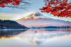 Art Photography Fuji Mountain , Red Maple Tree, DoctorEgg, (40 x 26.7 cm)