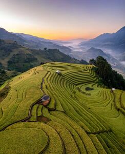 Art Photography Rice fields on terraced prepare the, Vu Viet Dung, (35 x 40 cm)