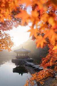 Art Photography Beautiful Autumn scene of Naejangsan national, Twenty47studio, (26.7 x 40 cm)