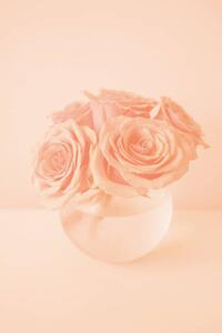 Art Photography Roses in the color of 2024 year Peach Fuzz, Anna Blazhuk, (26.7 x 40 cm)