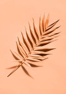Art Photography Palm leaf close up, lenta, (30 x 40 cm)
