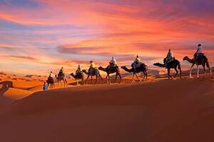 Art Photography Camel caravan going through the Sahara, Nisangha, (40 x 26.7 cm)
