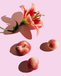 Art Photography Lily flower and peaches on pink, Tanja Ivanova, (26.7 x 40 cm)