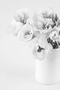 Art Photography Beauty Eustoma flowers in vase. Black, white_caty, (26.7 x 40 cm)
