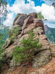 Art Photography High forest rocks for advanced hiking, Vadim Serebrenikov, (30 x 40 cm)