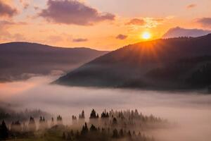 Art Photography Panorama of a misty dawn in, Anton Petrus, (40 x 26.7 cm)