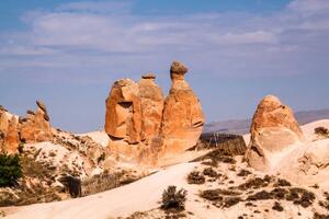Art Photography Camel Rockin Devrent Valley at Cappadocia., Newlander90, (40 x 26.7 cm)