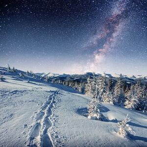 Photography starry sky in winter snowy night., standret, (40 x 40 cm)