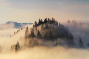 Art Photography Foggy sunrise in the mountains in summer, Anton Petrus, (40 x 26.7 cm)